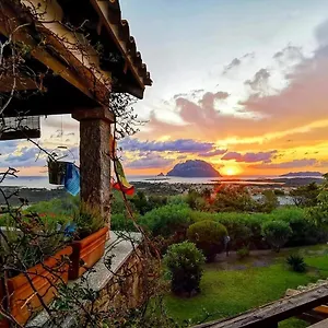 Acchiappasogni , Porto San Paolo (Sardinia) Italie